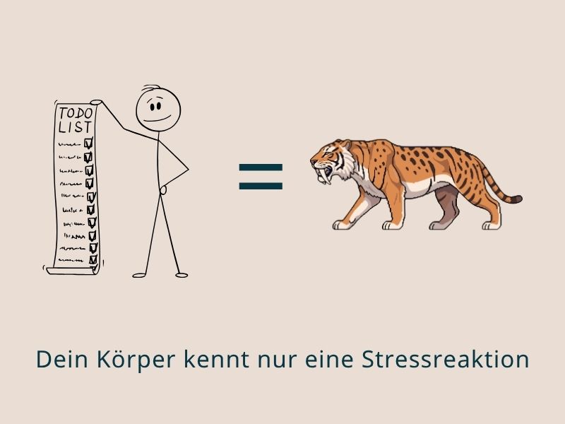 Ob To-do-Liste oder Säbelzahntiger: Die Stressreaktion ist immer gleich und führt zum Gedankenkarussell